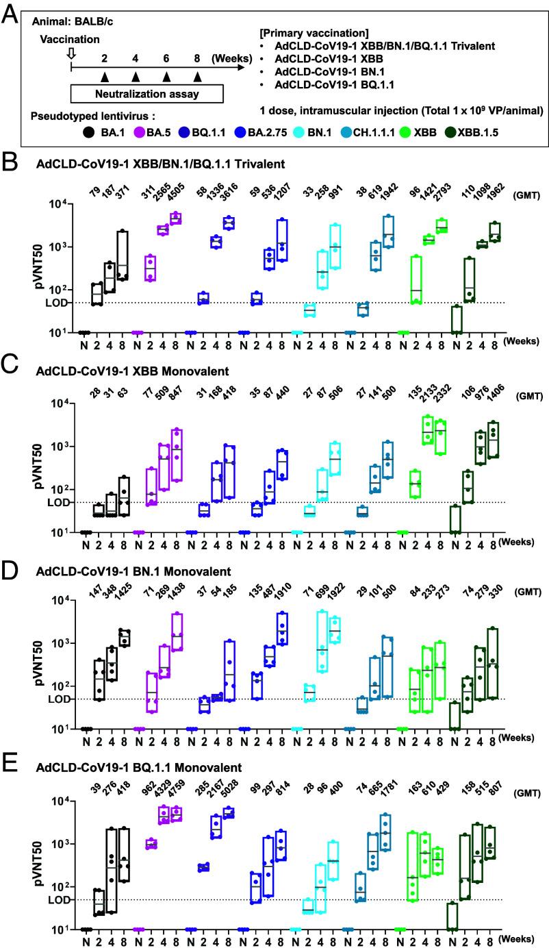 https://cdn.ncbi.nlm.nih.gov/pmc/blobs/83a5/10927586/22d46123e8a6/pnas.2313681121fig03.jpg