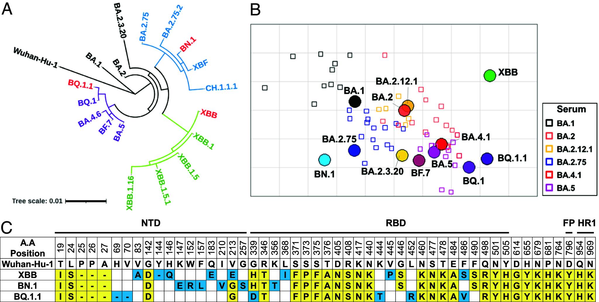 https://cdn.ncbi.nlm.nih.gov/pmc/blobs/83a5/10927586/d5927a446ac9/pnas.2313681121fig02.jpg