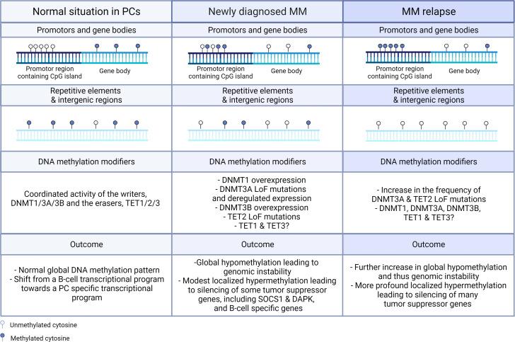 https://cdn.ncbi.nlm.nih.gov/pmc/blobs/83b2/9434119/5e76ece3f537/fonc-12-979569-g002.jpg