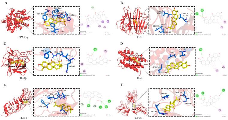 https://cdn.ncbi.nlm.nih.gov/pmc/blobs/83b3/11123902/bc1659d8bffb/molecules-29-02345-g002.jpg