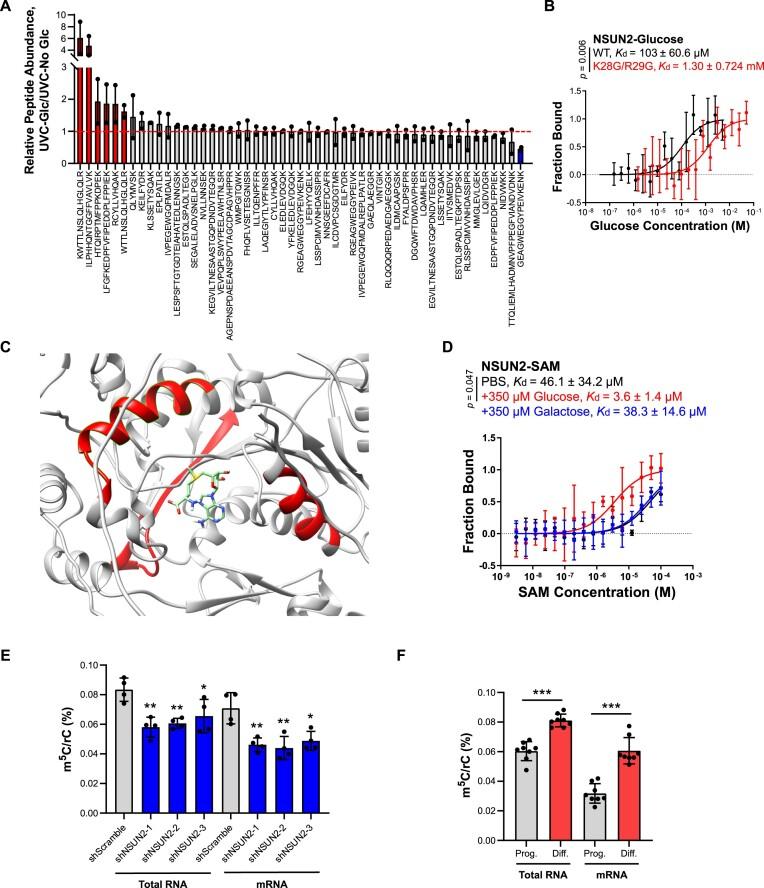 https://cdn.ncbi.nlm.nih.gov/pmc/blobs/83ba/11662651/bd13474887b4/gkae1097fig2.jpg