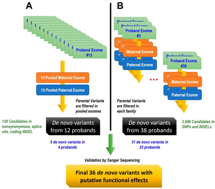 https://cdn.ncbi.nlm.nih.gov/pmc/blobs/83c4/7822011/7531b368e118/genes-12-00001-g001.jpg