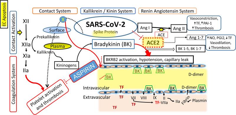 https://cdn.ncbi.nlm.nih.gov/pmc/blobs/83d1/8693925/9f4599826cb6/spectrum.00735-21-f006.jpg