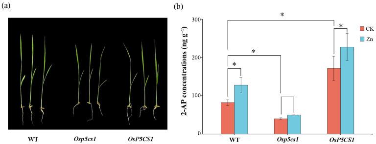 https://cdn.ncbi.nlm.nih.gov/pmc/blobs/83ee/10780308/64e40f5648ee/plants-13-00049-g002.jpg