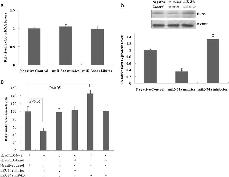 https://cdn.ncbi.nlm.nih.gov/pmc/blobs/83f3/7101993/2aea6ab9bffa/10753_2017_537_Fig3_HTML.jpg