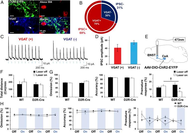 https://cdn.ncbi.nlm.nih.gov/pmc/blobs/83f8/6233075/243d1ffd17aa/pnas.1811664115fig05.jpg
