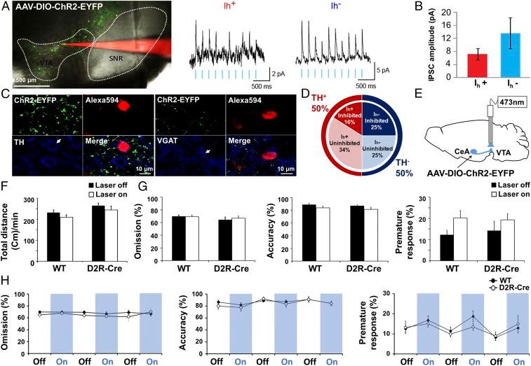 https://cdn.ncbi.nlm.nih.gov/pmc/blobs/83f8/6233075/cfc86b428249/pnas.1811664115fig04.jpg