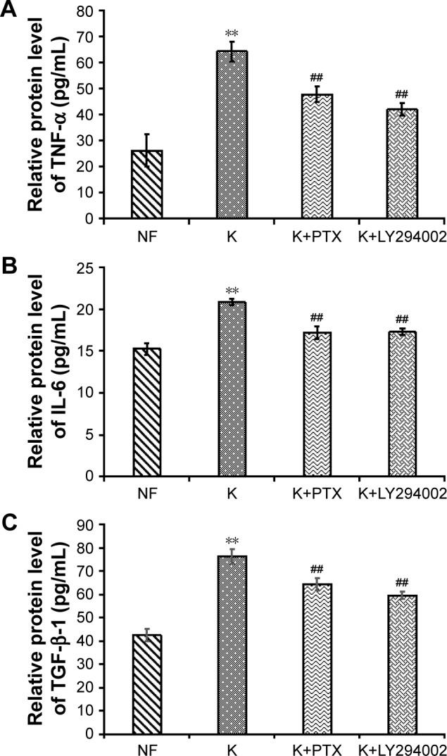 https://cdn.ncbi.nlm.nih.gov/pmc/blobs/8409/6390862/b9d4338d8826/ijn-14-1385Fig10.jpg