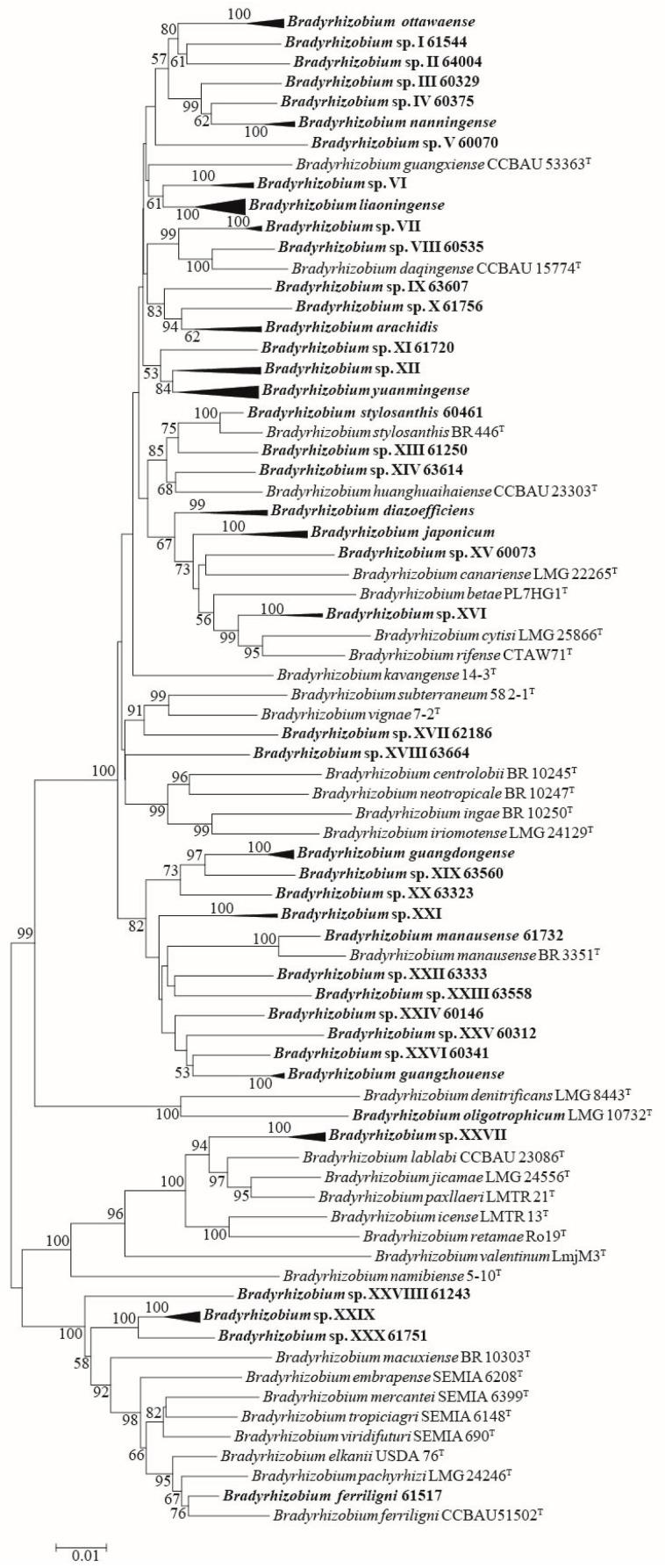 https://cdn.ncbi.nlm.nih.gov/pmc/blobs/843a/12029271/56e0b00d46a5/microorganisms-13-00926-g002.jpg