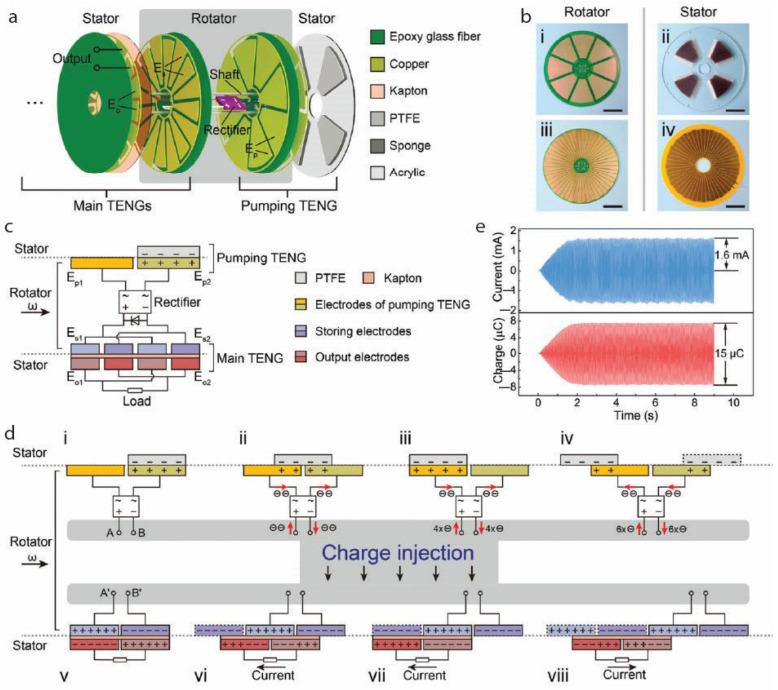 https://cdn.ncbi.nlm.nih.gov/pmc/blobs/8458/12191553/2379c3e28b0d/gels-11-00451-g004.jpg