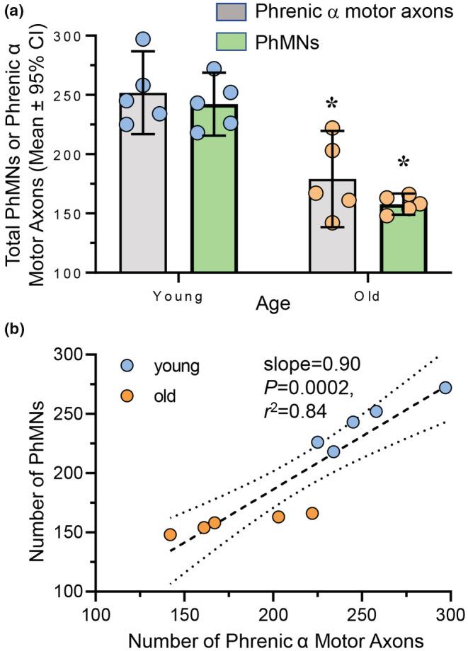 https://cdn.ncbi.nlm.nih.gov/pmc/blobs/847b/9875821/25c1ca35fd64/PHY2-11-e15587-g002.jpg
