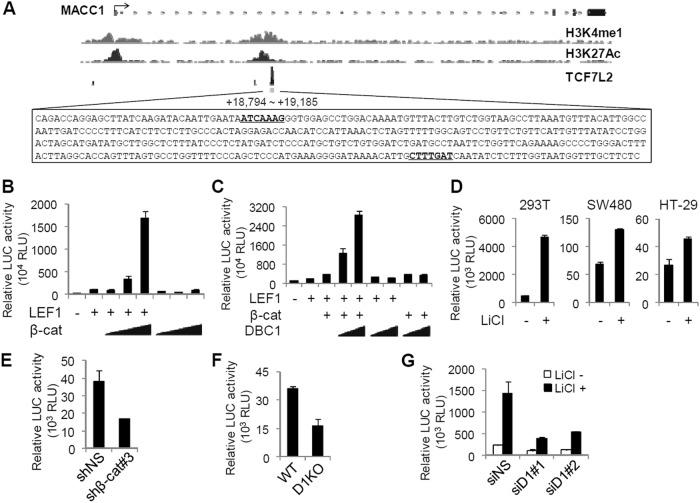 https://cdn.ncbi.nlm.nih.gov/pmc/blobs/8486/6079074/f8ecb1a82841/41419_2018_899_Fig3_HTML.jpg