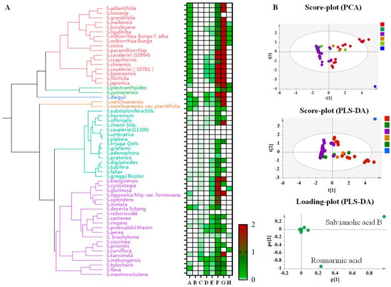 https://cdn.ncbi.nlm.nih.gov/pmc/blobs/8487/11356371/0764b5693271/metabolites-14-00441-g003.jpg