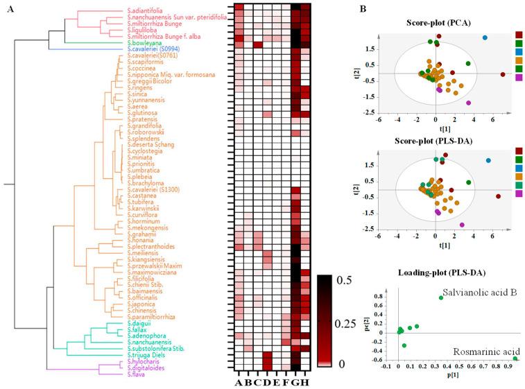 https://cdn.ncbi.nlm.nih.gov/pmc/blobs/8487/11356371/79229b33cd16/metabolites-14-00441-g007.jpg