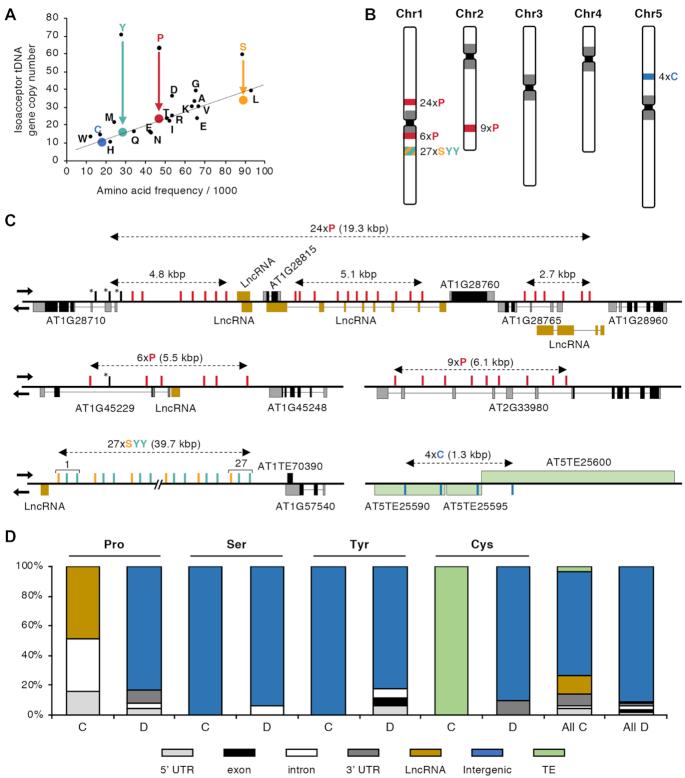 https://cdn.ncbi.nlm.nih.gov/pmc/blobs/84ad/7544208/01150a3637d8/gkaa766fig1.jpg