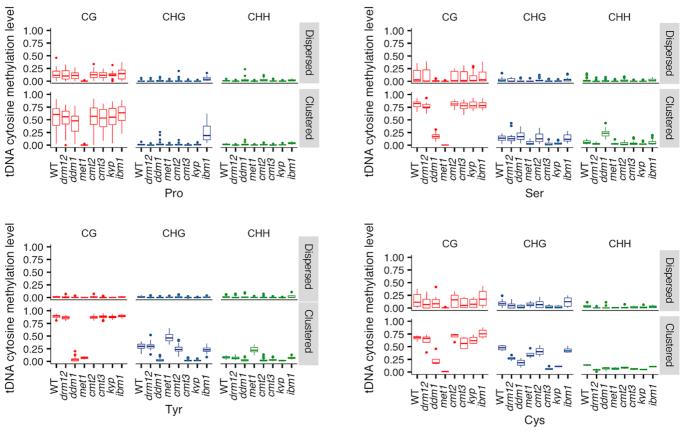 https://cdn.ncbi.nlm.nih.gov/pmc/blobs/84ad/7544208/4285b491b033/gkaa766fig4.jpg