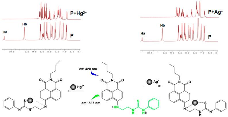 https://cdn.ncbi.nlm.nih.gov/pmc/blobs/84af/11547768/fcbe8fff730d/molecules-29-05196-sch001.jpg