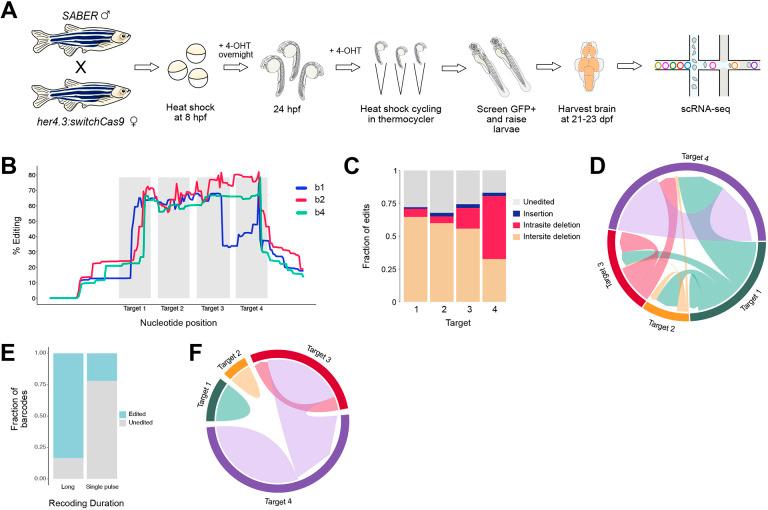 https://cdn.ncbi.nlm.nih.gov/pmc/blobs/84af/11701514/ae97d3b43439/develop-151-203102-g4.jpg