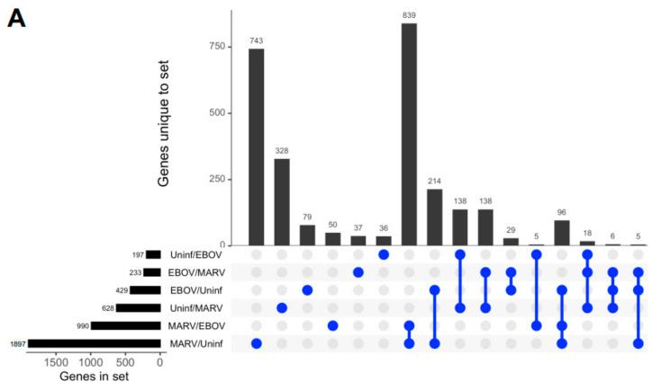 https://cdn.ncbi.nlm.nih.gov/pmc/blobs/84c1/9958679/76e90ae1e582/viruses-15-00350-g002a.jpg