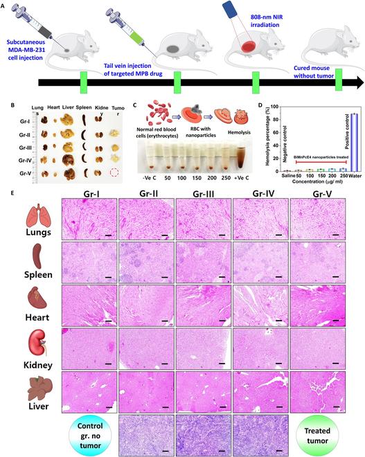 https://cdn.ncbi.nlm.nih.gov/pmc/blobs/84da/11542904/9b6175f9c734/bmr.0092.fig.008.jpg