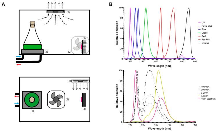 https://cdn.ncbi.nlm.nih.gov/pmc/blobs/84da/12292246/25013477ae8f/bioengineering-12-00763-g001.jpg