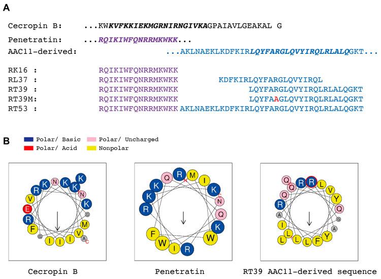 https://cdn.ncbi.nlm.nih.gov/pmc/blobs/84e4/10974242/0d2c6978754a/microorganisms-12-00480-g001.jpg