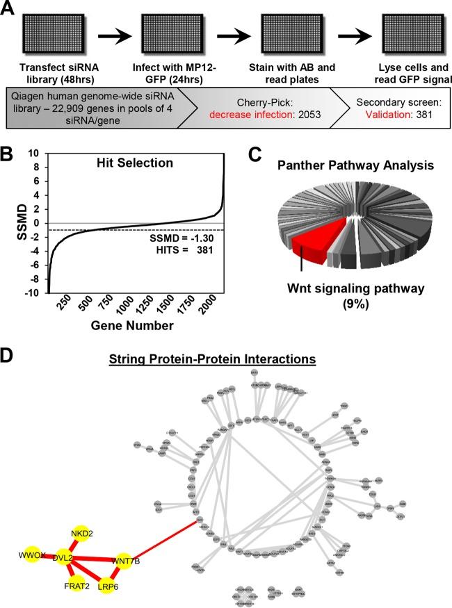 https://cdn.ncbi.nlm.nih.gov/pmc/blobs/84ec/4984662/8d0589381abd/zjv9991818220001.jpg