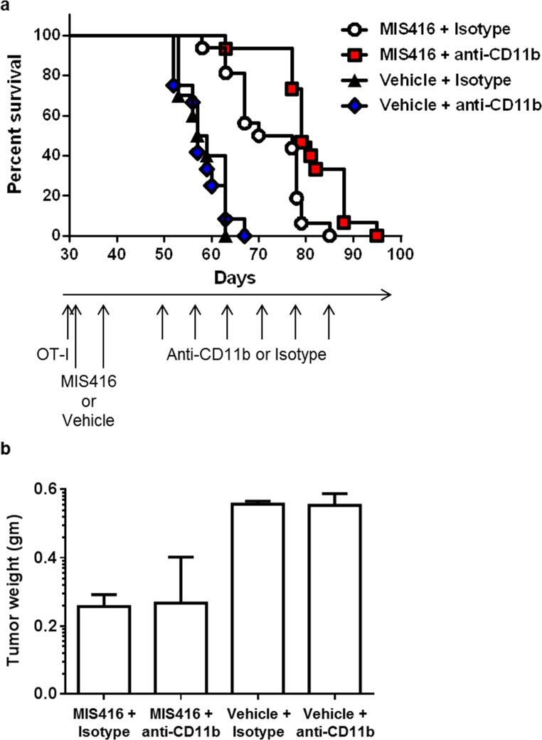 https://cdn.ncbi.nlm.nih.gov/pmc/blobs/84f6/4484458/5b7d7192123c/oncotarget-06-11310-g005.jpg