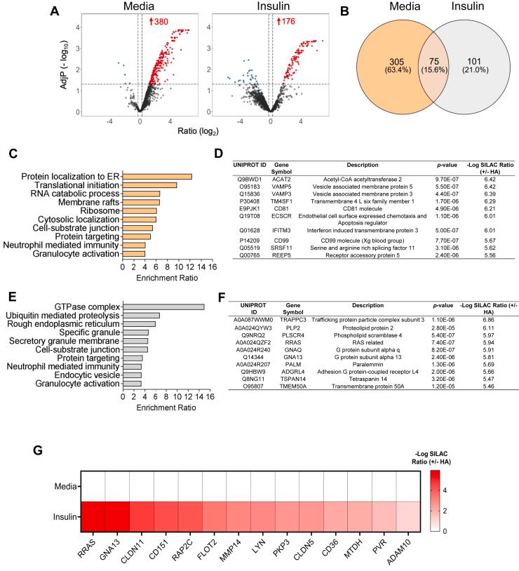 https://cdn.ncbi.nlm.nih.gov/pmc/blobs/8507/12002826/022d87909f51/gr1.jpg