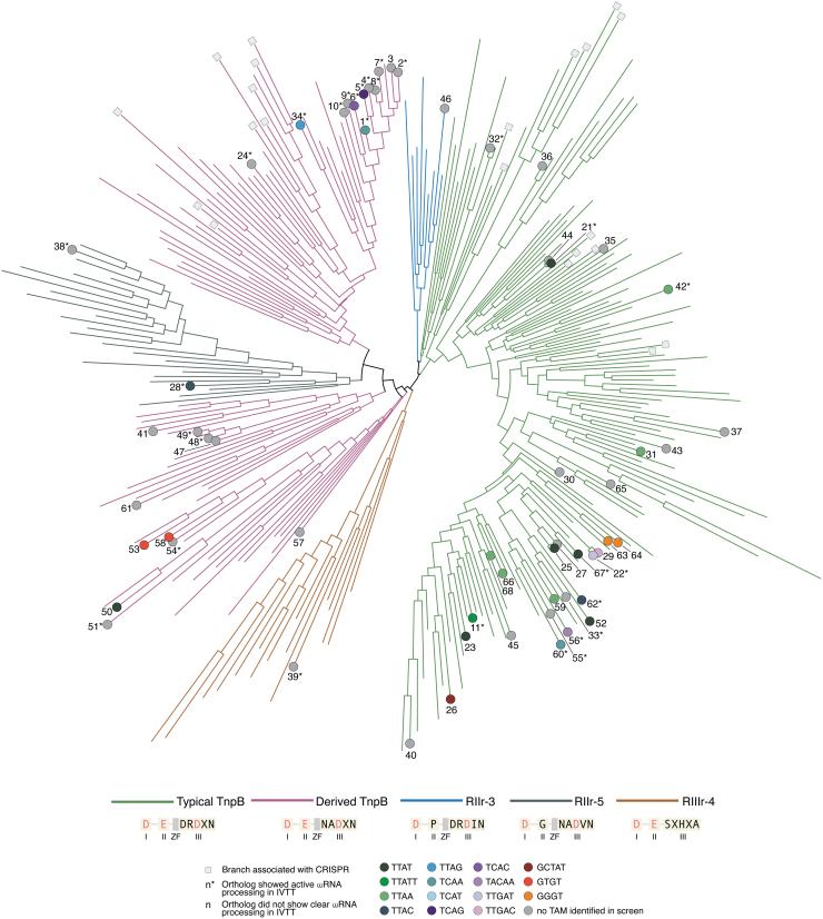 https://cdn.ncbi.nlm.nih.gov/pmc/blobs/850d/10278001/a0a84b28f57b/crispr.2023.0015_figure3.jpg