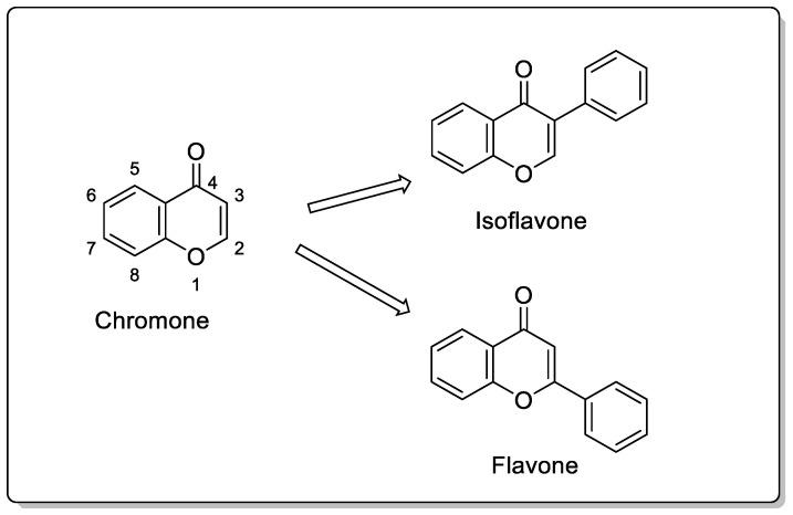 https://cdn.ncbi.nlm.nih.gov/pmc/blobs/8524/10534638/6bab3e9c0b37/pharmaceuticals-16-01310-g002.jpg