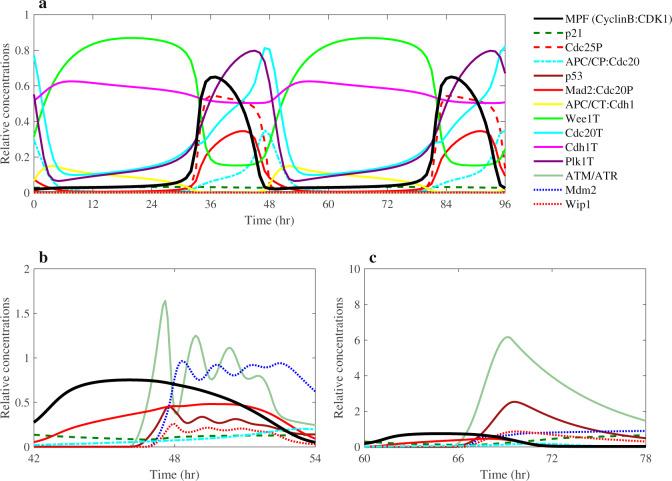 https://cdn.ncbi.nlm.nih.gov/pmc/blobs/8528/8660825/be3d0bc59f98/41540_2021_203_Fig2_HTML.jpg