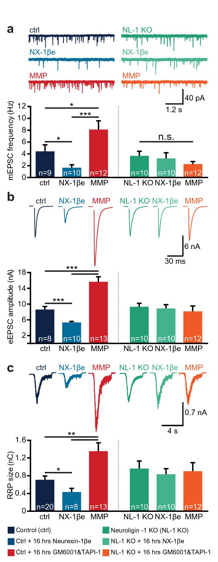 https://cdn.ncbi.nlm.nih.gov/pmc/blobs/854a/7582164/8cd33c23969f/41598_2020_75047_Fig6_HTML.jpg