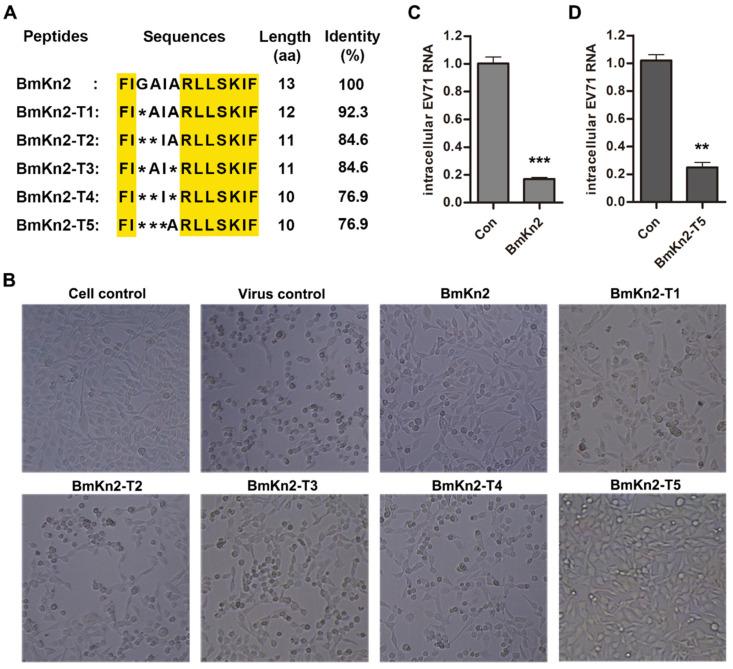https://cdn.ncbi.nlm.nih.gov/pmc/blobs/8561/11117539/77b3f0f6517a/biomolecules-14-00545-g001.jpg