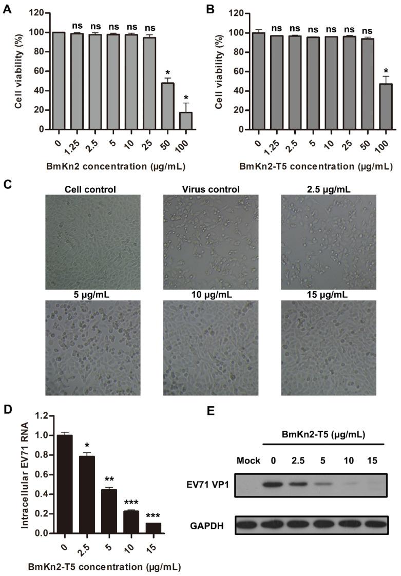 https://cdn.ncbi.nlm.nih.gov/pmc/blobs/8561/11117539/ac38bc623c30/biomolecules-14-00545-g003.jpg
