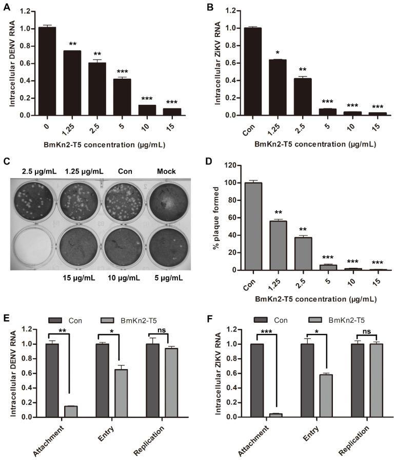 https://cdn.ncbi.nlm.nih.gov/pmc/blobs/8561/11117539/f1389055561d/biomolecules-14-00545-g005.jpg