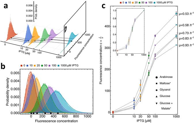 https://cdn.ncbi.nlm.nih.gov/pmc/blobs/8568/5524720/6f5e751e2ea4/41598_2017_5871_Fig2_HTML.jpg