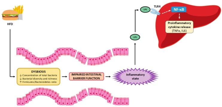 https://cdn.ncbi.nlm.nih.gov/pmc/blobs/8572/6770892/e05061def9f3/nutrients-11-02156-g001.jpg