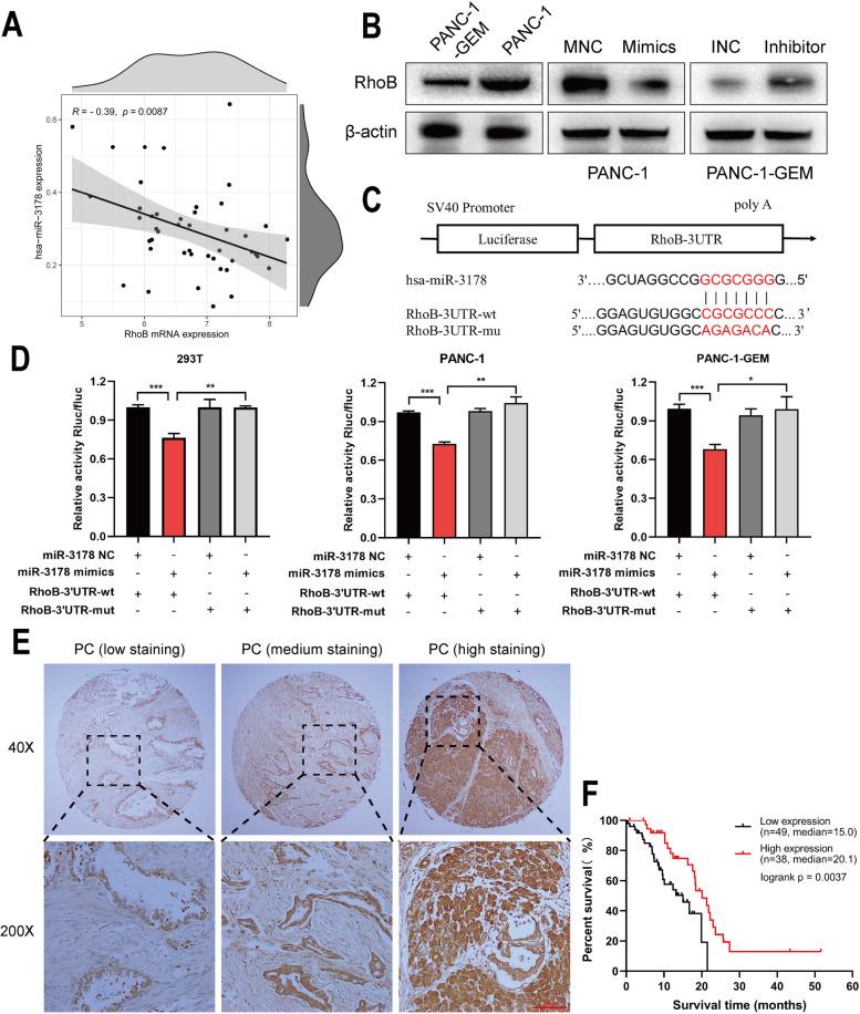 https://cdn.ncbi.nlm.nih.gov/pmc/blobs/8590/9088115/fecc22939bcb/12943_2022_1587_Fig4_HTML.jpg