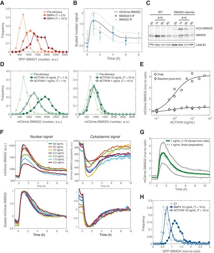 https://cdn.ncbi.nlm.nih.gov/pmc/blobs/8599/6234031/2f505fd345cf/elife-38279-fig3-figsupp1.jpg
