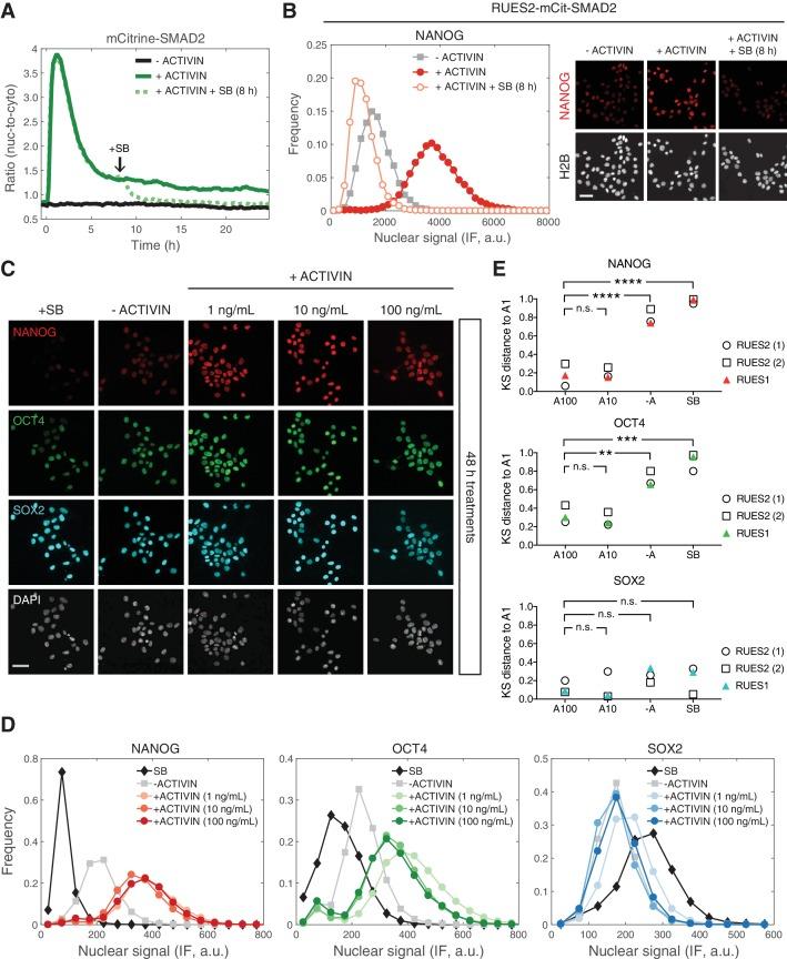 https://cdn.ncbi.nlm.nih.gov/pmc/blobs/8599/6234031/3f0a1a6d2222/elife-38279-fig5.jpg