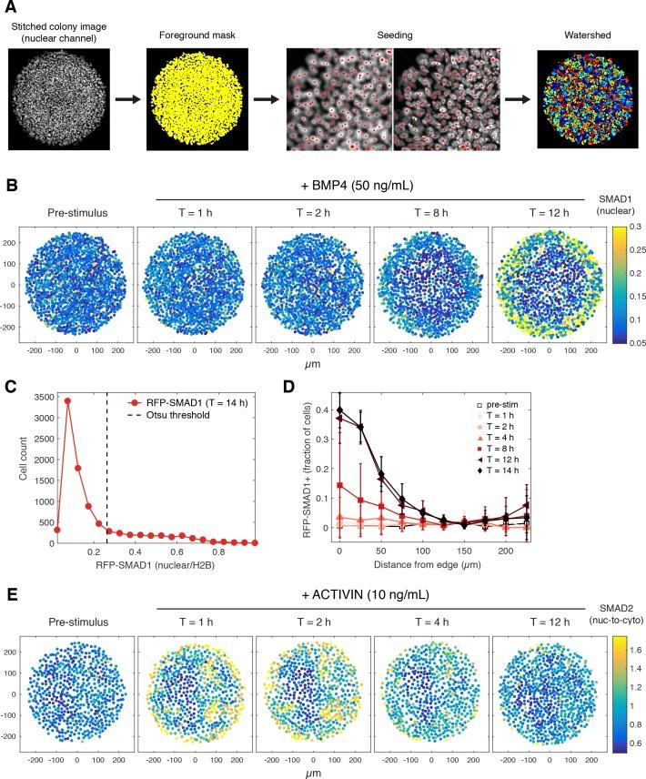 https://cdn.ncbi.nlm.nih.gov/pmc/blobs/8599/6234031/6ace05ecc88a/elife-38279-fig2-figsupp2.jpg