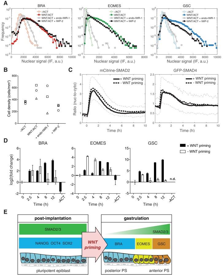 https://cdn.ncbi.nlm.nih.gov/pmc/blobs/8599/6234031/7e32de70d4a6/elife-38279-fig7.jpg