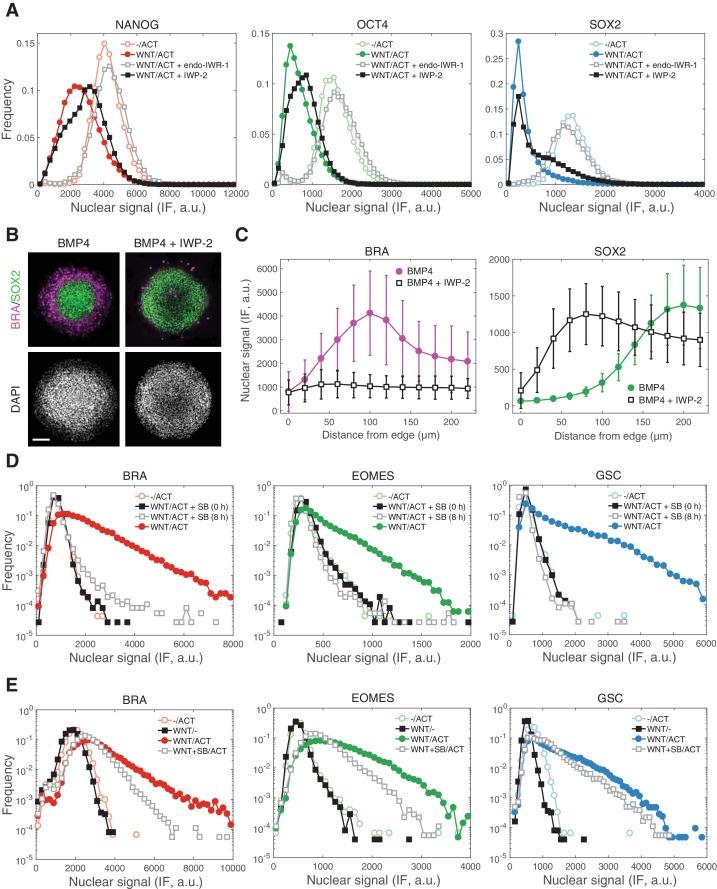 https://cdn.ncbi.nlm.nih.gov/pmc/blobs/8599/6234031/8569edd92b40/elife-38279-fig7-figsupp1.jpg