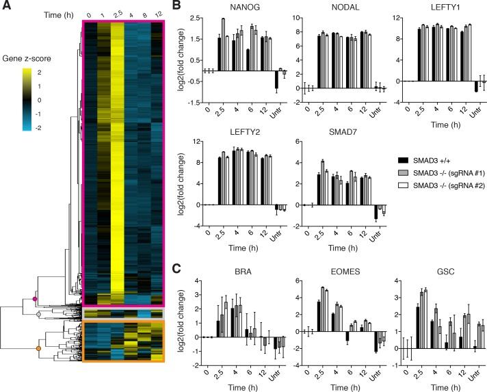 https://cdn.ncbi.nlm.nih.gov/pmc/blobs/8599/6234031/fc0c1896f218/elife-38279-fig4.jpg