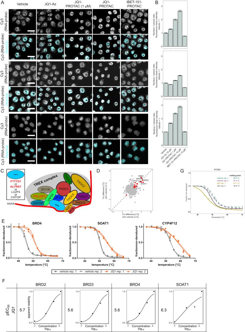 https://cdn.ncbi.nlm.nih.gov/pmc/blobs/85aa/5871718/239add904a80/figs3.jpg