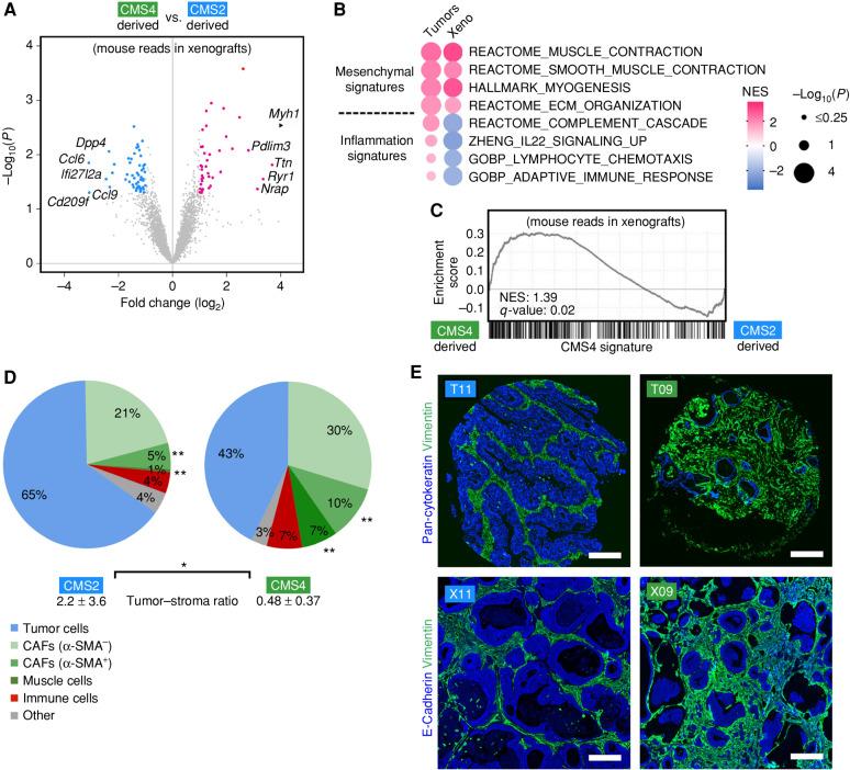 https://cdn.ncbi.nlm.nih.gov/pmc/blobs/85ca/10551667/805a53aa4159/2192fig3.jpg