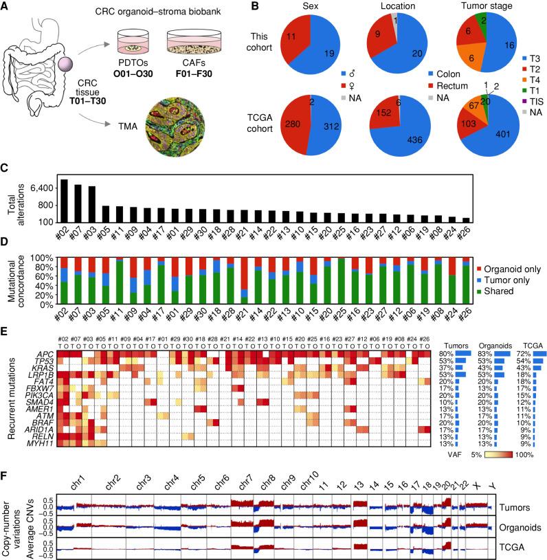 https://cdn.ncbi.nlm.nih.gov/pmc/blobs/85ca/10551667/9ada89801db7/2192fig1.jpg