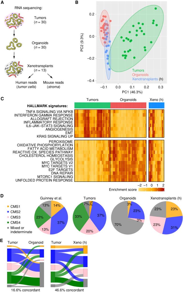 https://cdn.ncbi.nlm.nih.gov/pmc/blobs/85ca/10551667/9efd0507b1b7/2192fig2.jpg