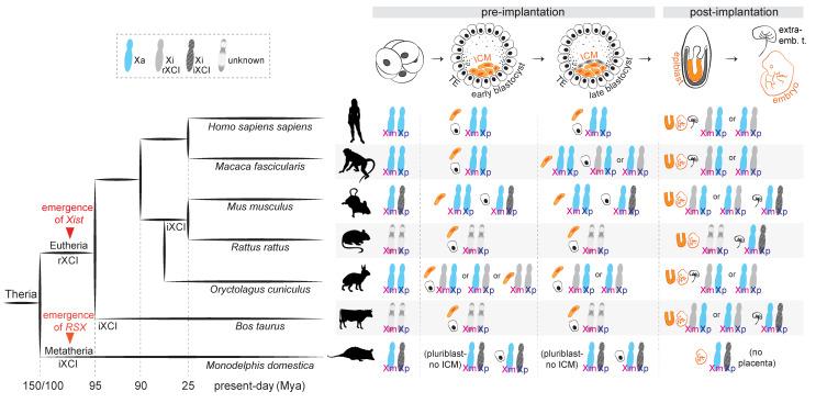 https://cdn.ncbi.nlm.nih.gov/pmc/blobs/85eb/8833938/0712952587fc/cells-11-00535-g001.jpg